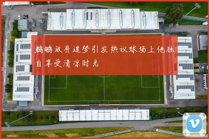 鹈鹕放弃追梦引发热议球场上他独自享受清凉时光
