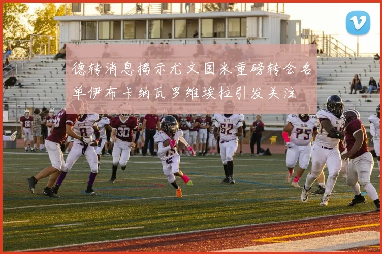 德转消息揭示尤文国米重磅转会名单伊布卡纳瓦罗维埃拉引发关注